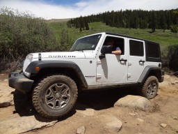 Click to see this photograph full size