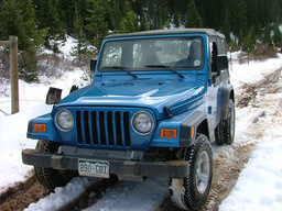 Click to see this photograph full size