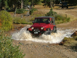 Click to see this photograph full size