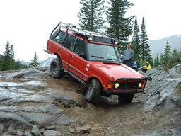 Click to see this photograph full size