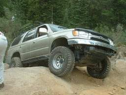 Click to see this photograph full size